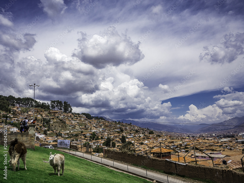 Skyline of Cusco Peru with llamas on the foreground