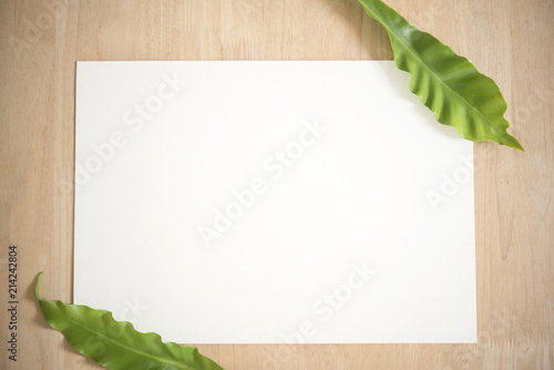 Blank white greeting paper card with green leaf. for mockup template.