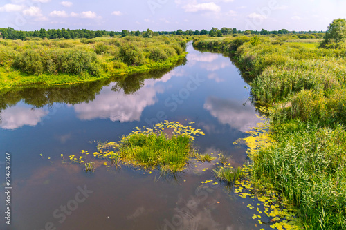 A quiet transparent river against a background of green vegetation and a blue sky