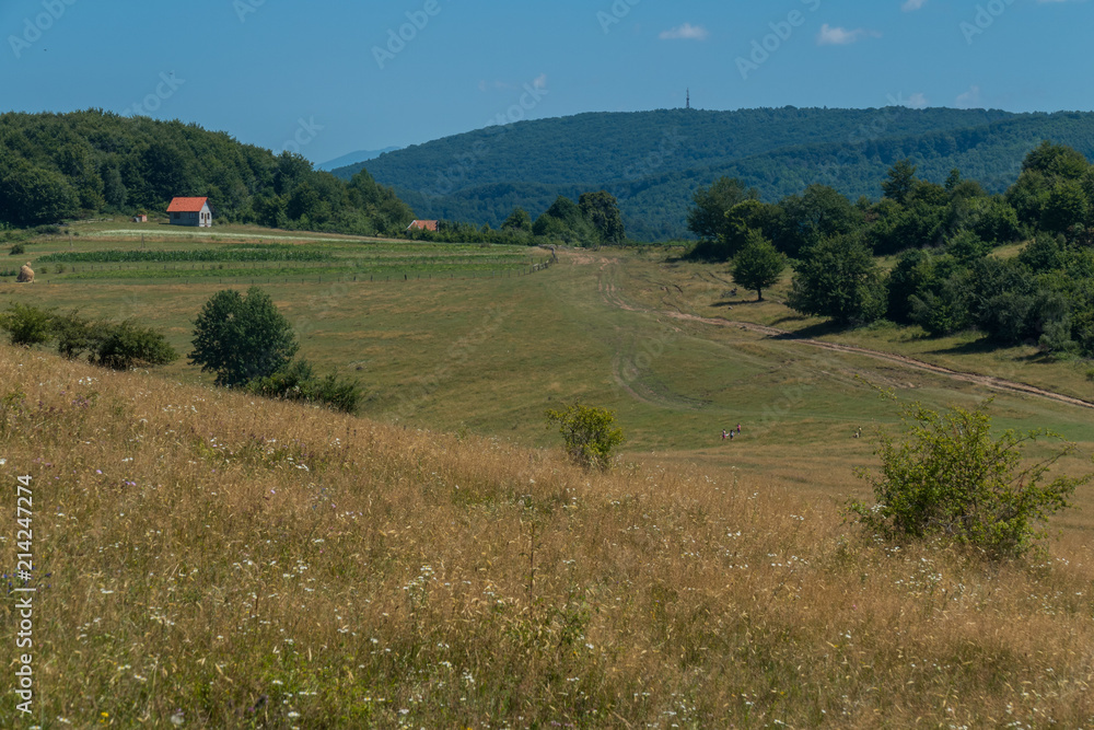 people at the bottom of a hill going to a dirt road in a hot summer noon