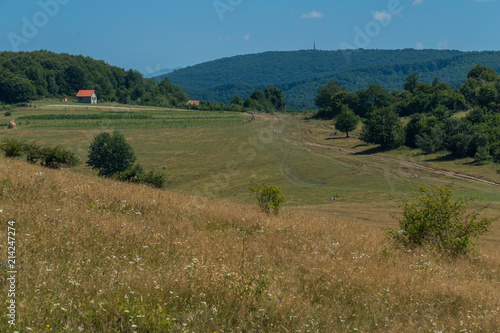 people at the bottom of a hill going to a dirt road in a hot summer noon