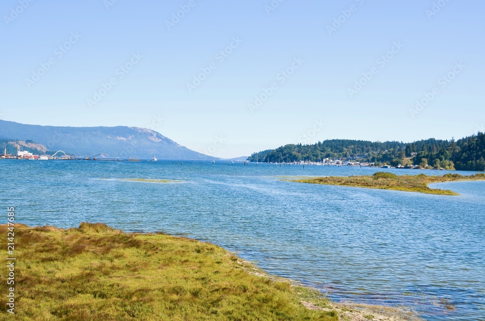 View of Cowichan Estuary Near Cowichan Bay on Vancouver Island