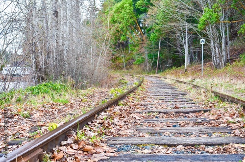 Railway Track in the Forest Near Shawnigan Lake on Vancouver Island photo