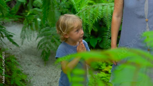 Young woman and her son visiting a tropical botanical garden. fern section photo