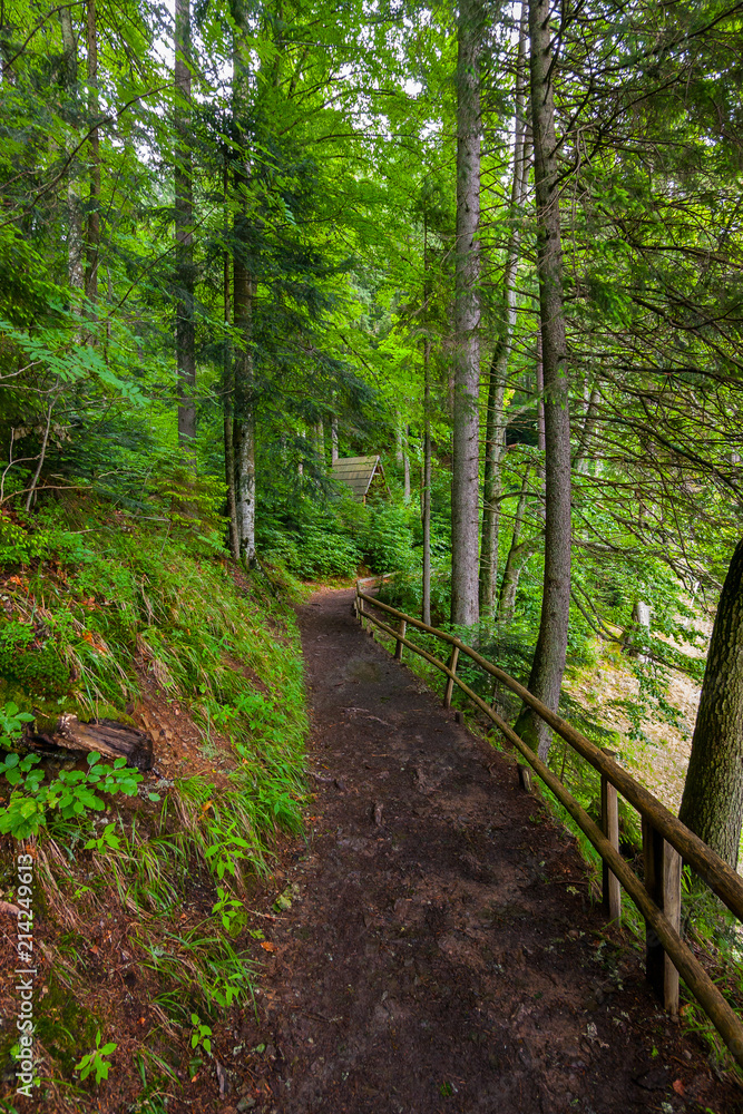 A dirt trail on the edge of the slope, fenced with wooden rails A dirt trail on the edge of the slope, fenced with wooden rails