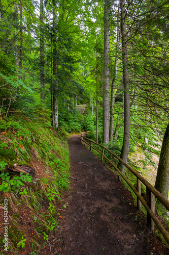 A dirt trail on the edge of the slope  fenced with wooden rails