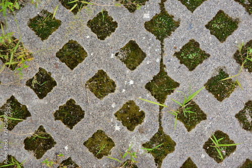 Latticed concrete paving slab. Element for the improvement of parks and back yards. The grass grows through the pavement