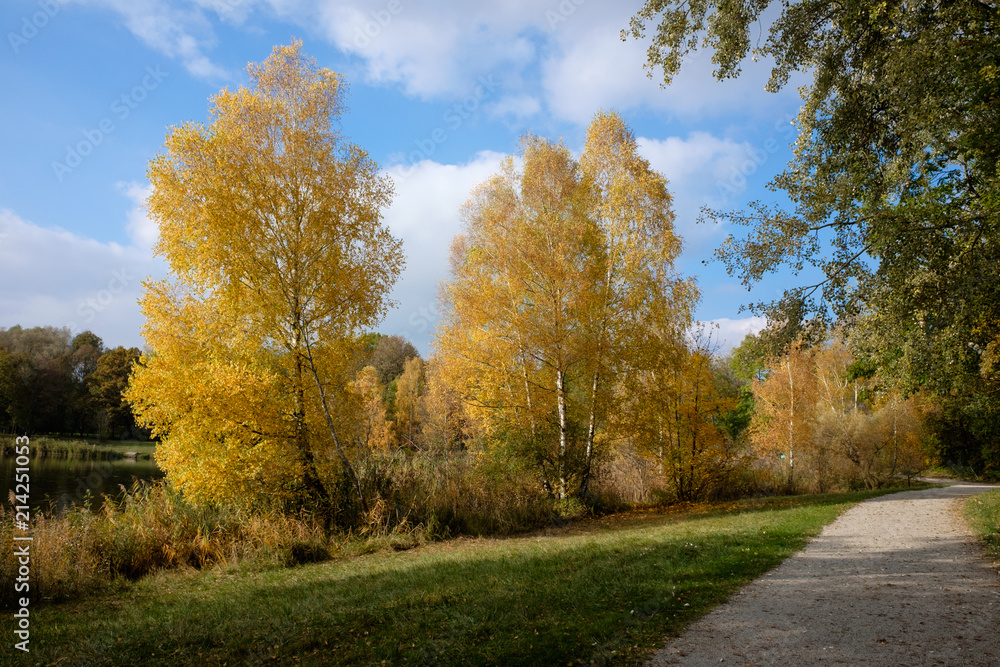 Weg neben herbstlichen Bäumen