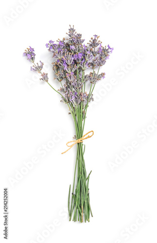 Beautiful blooming lavender flowers on white background