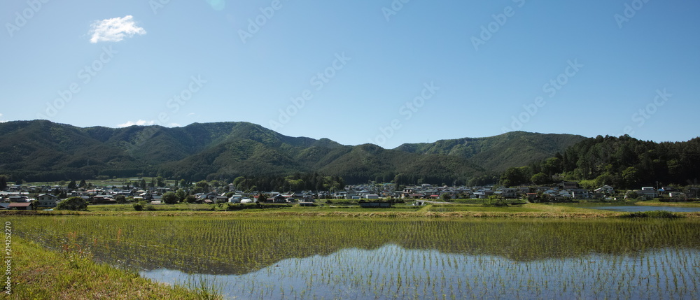 rice field in Nagano rice field in Nagano
