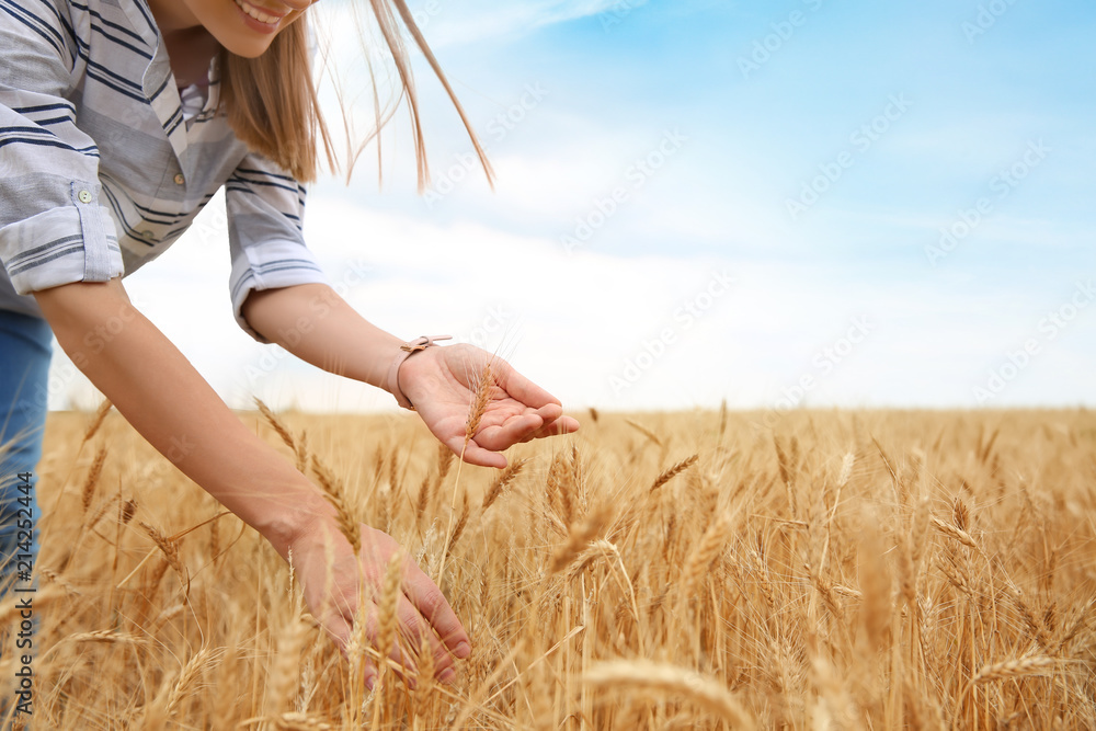 Young agronomist in grain field. Cereal farming - obrazy, fototapety, plakaty 