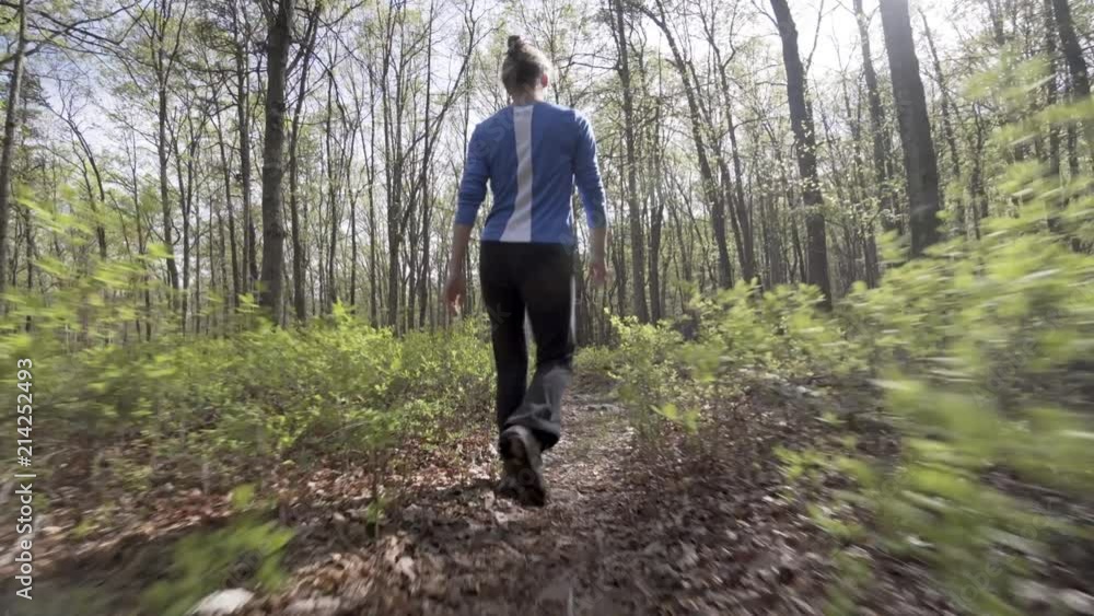 Mature athletic woman hiking through a forest trail lined with blueberry bushes. Mature athletic woman hiking through a forest trail lined with blueberry bushes.