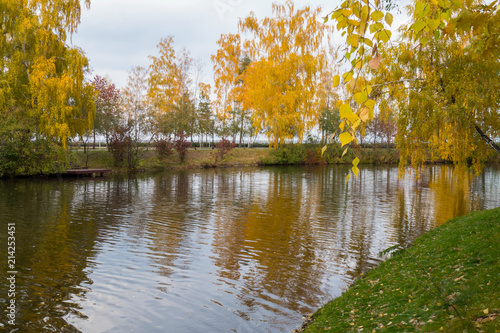 Trees growing along the banks of the reservoir have already dressed their autumn yellow outfits. Reflected in water with shallow ripples on the surface.