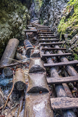 Ladders on the Sucha Bela hiking trail in park called Slovak Paradise, Slovakia photo