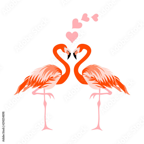 Flamingo bird vector illustration background.