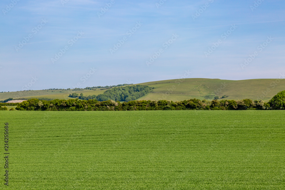A green Sussex landscape on a sunny spring day