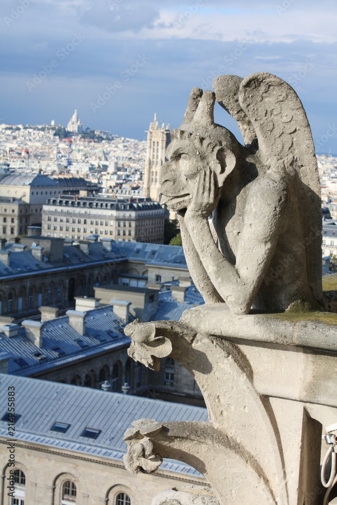 Notre Dame Paris France gargoyles