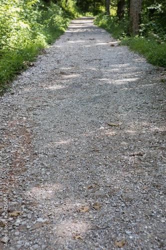 A gravel road in a city park in Knoxville