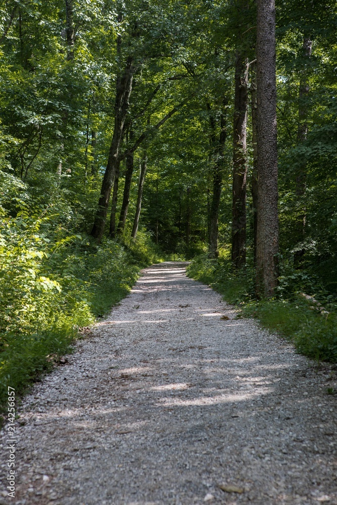 A gravel road in a city park in Knoxville