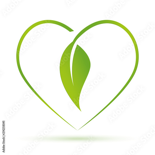 Cuore ecologico foglia photo