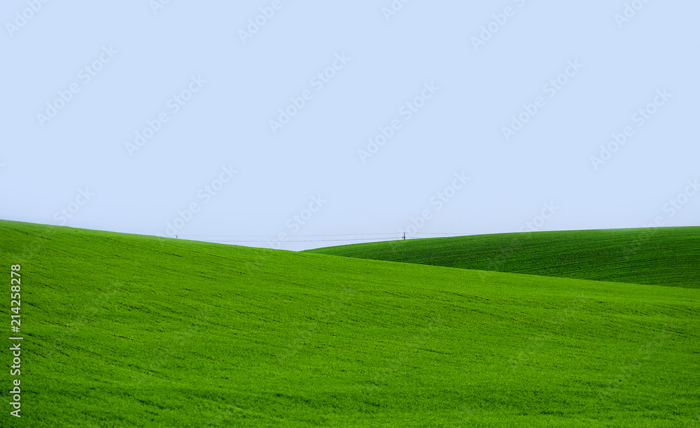 Obraz premium Hilly green field 