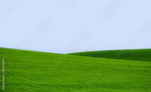 Hilly green field 