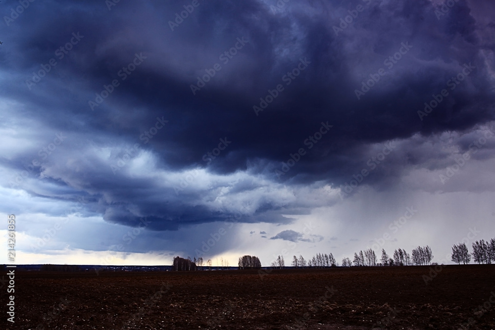Fototapeta premium ground field clouds trees landscape