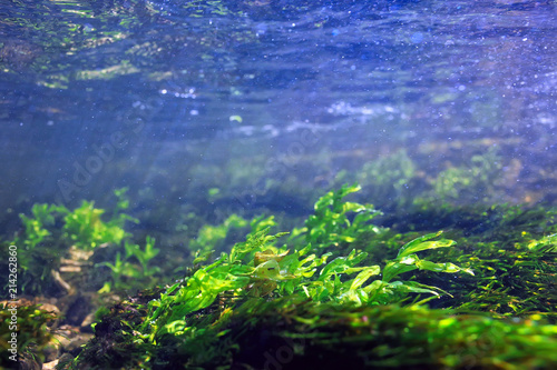 underwater mountain clear river   underwater photo in a freshwater river  fast current  air bubbles by water  underwater ecosystem landscape