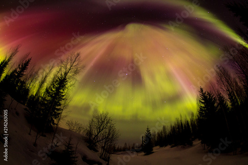 Northern lights