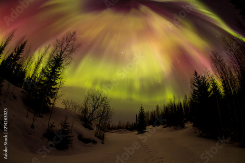 Northern lights