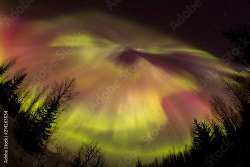 Northern lights