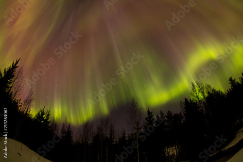 Northern lights