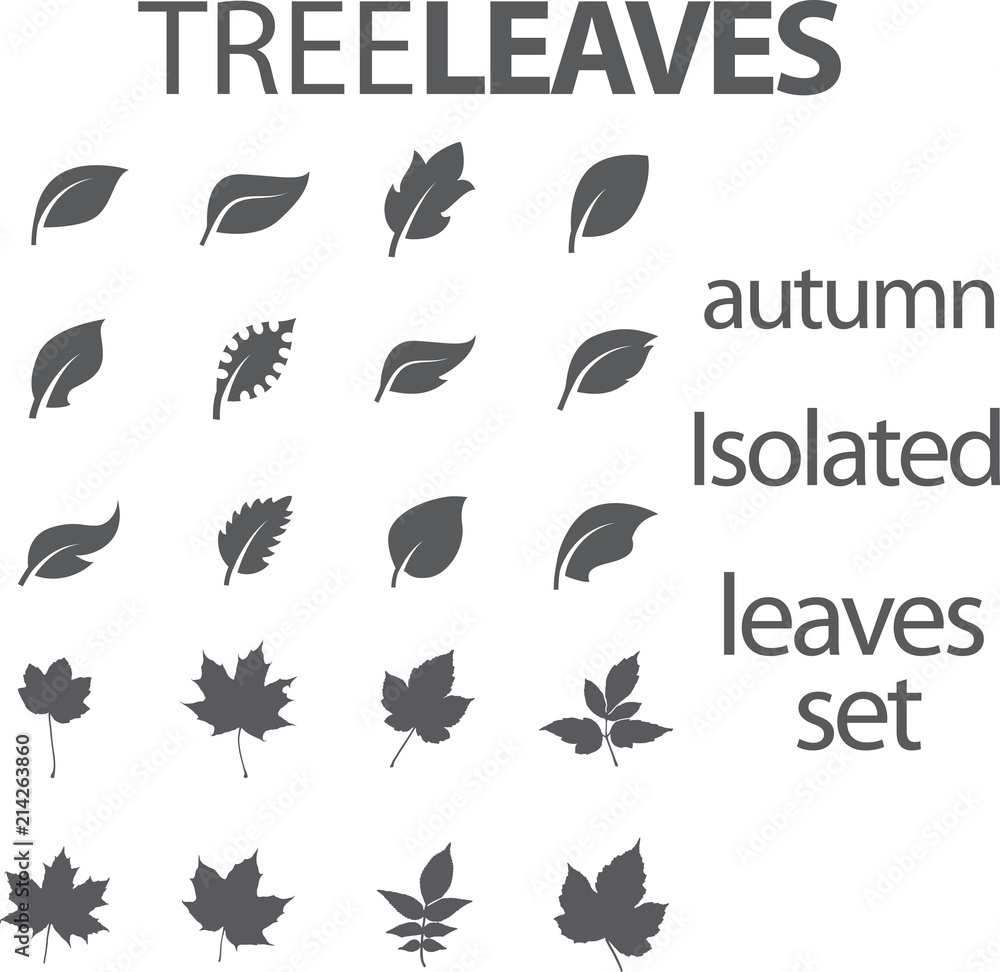 Tree Leaves Set