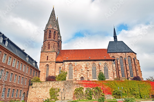 St. Mary's Church in Heilbad Heiligenstadt (Thuringia / Germany)  photo