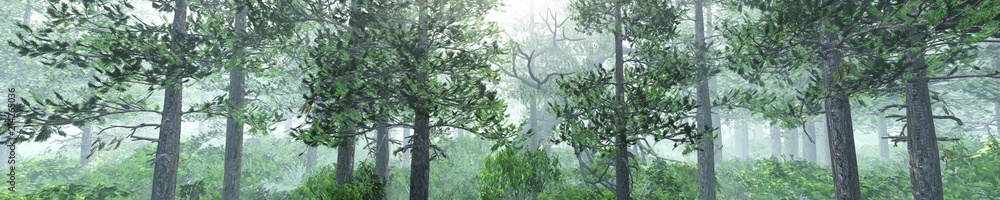 Panorama of a forest in the fog at sunset. Trees in the fog. Light above the left.
3D rendering
Panorama of a forest in the fog at sunset. Trees in the fog. Light above the left.
3D rendering
