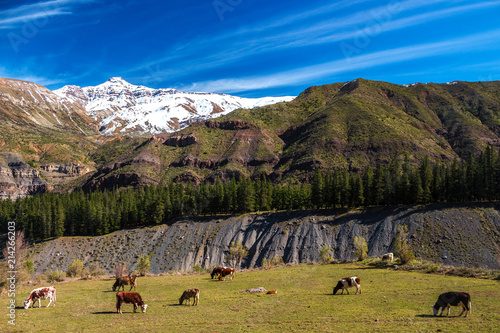 Cajón del Maipo