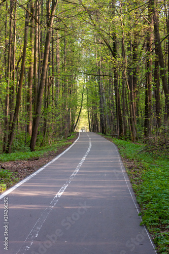 Summer park road
