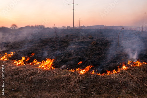 On a hot summer day, dry grass is burning on the field. Burning field with dry grass. photo