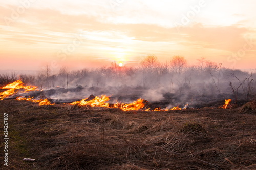 On a hot summer day, dry grass is burning on the field. Burning field with dry grass.