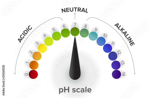 Misurazione della scala pH , manometro, infografica. Tutti i passaggi da acido a neutrale ad alcalino. Il pH è una scala di misura dell'acidità o della basicità di una soluzione acquosa photo