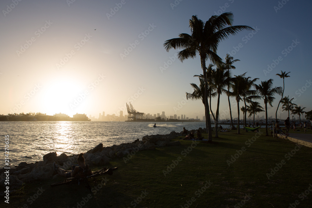 citiscape with palm trees and port of Miami