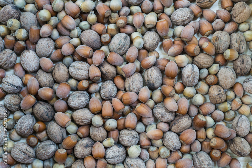 Texture mixture of hazelnut and walnut nuts Texture mixture of hazelnut and walnut nuts