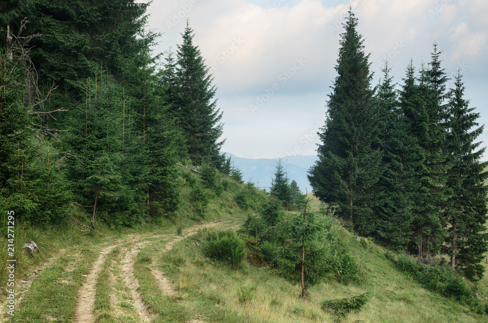 Summer landscape with mountains, fir forest and the road in hipster vintage retro style Summer landscape with mountains, fir forest and the road in hipster vintage retro style