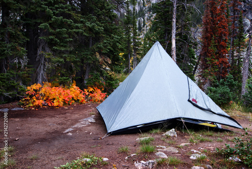 Tent Camping In Wilderness Mountains Overnight Shelter in Forest