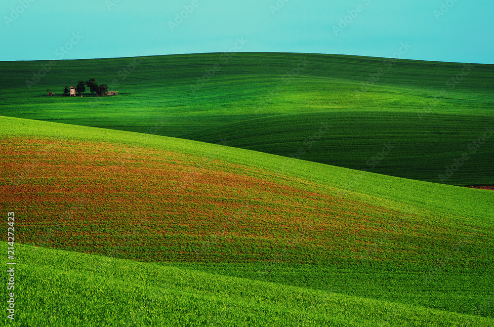 Obraz premium Rural landscape with green field, blue sky and wooden hunting shack , South Moravia, Czech Republic