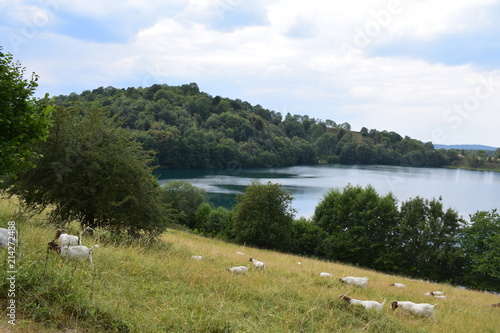 Weinfelder Maar photo