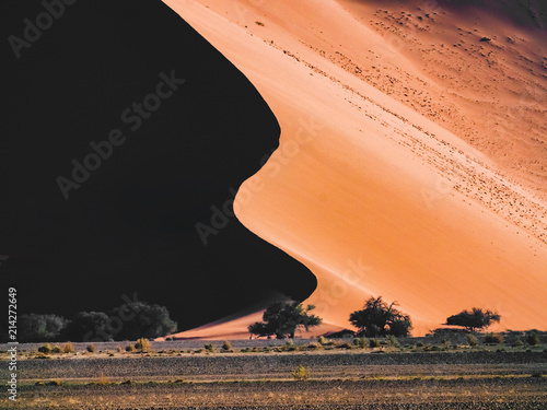 Red dune in morning sun