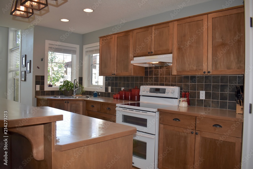 Kitchen cabinets in home kitchen Kitchen cabinets in home kitchen