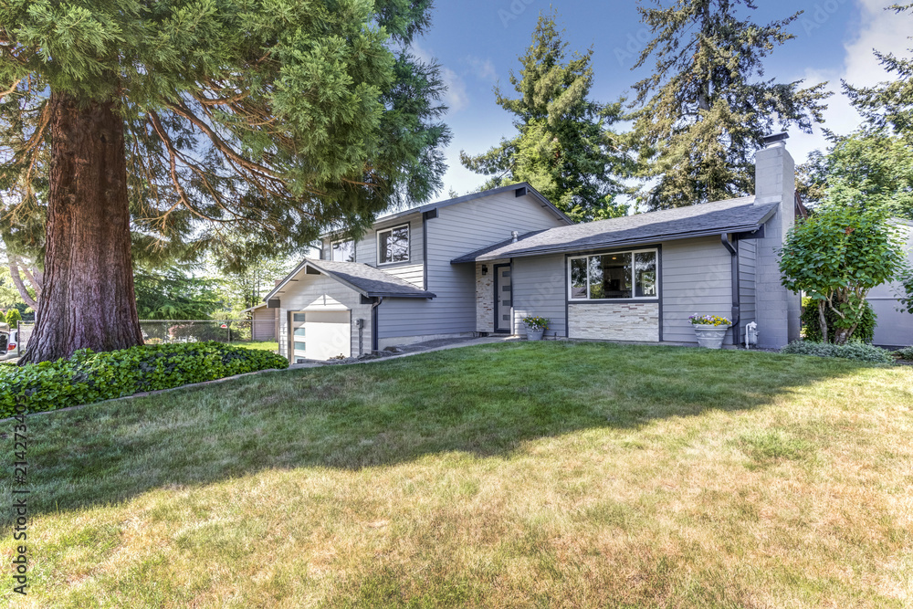 Nice front view of blue house surrounded by tall trees. Nice front view of blue house surrounded by tall trees.