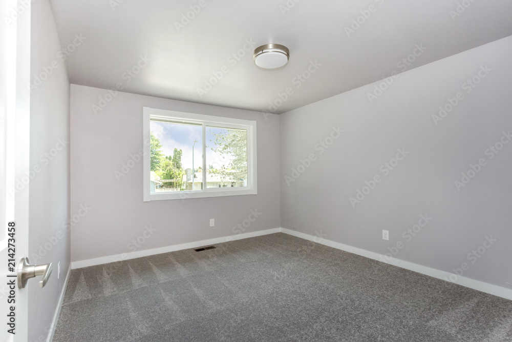 Small empty room with grey carpet floor. Stock Photo Adobe Stock